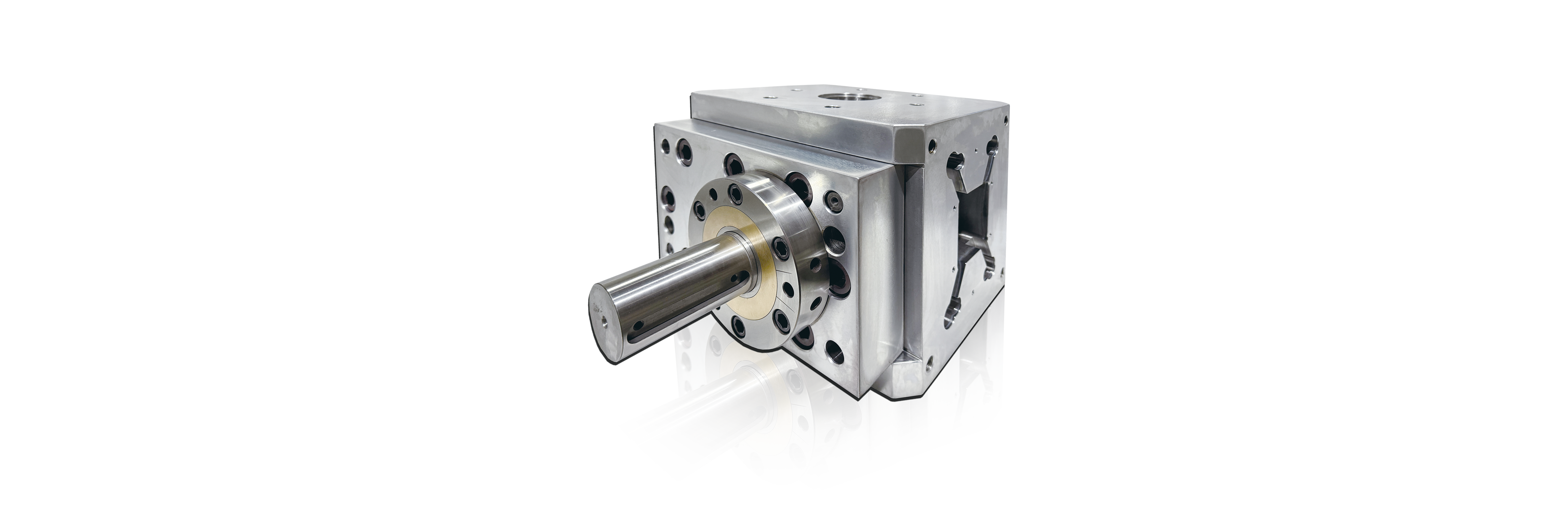 Metering Gear Pump